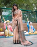 Banarasi soft Silk Saree