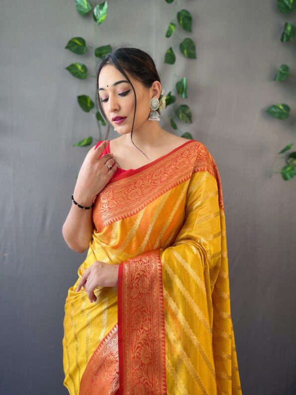 Organza Lahariya Saree