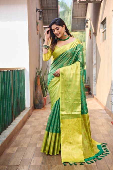 Banarasi saree