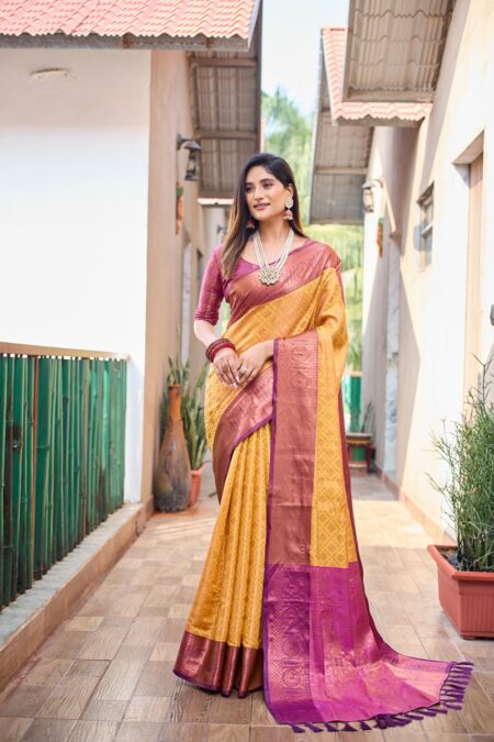 Banarasi saree