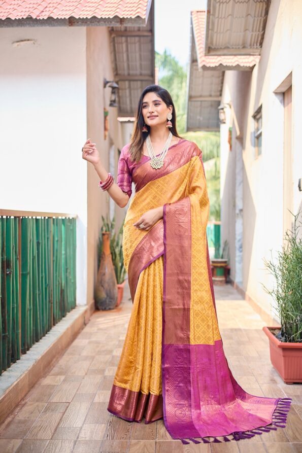 Banarasi saree