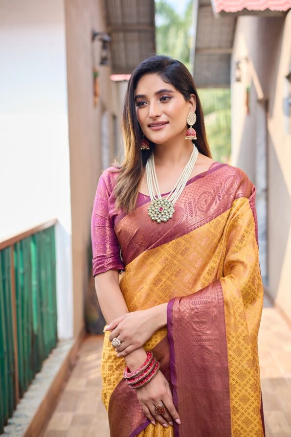 Banarasi saree