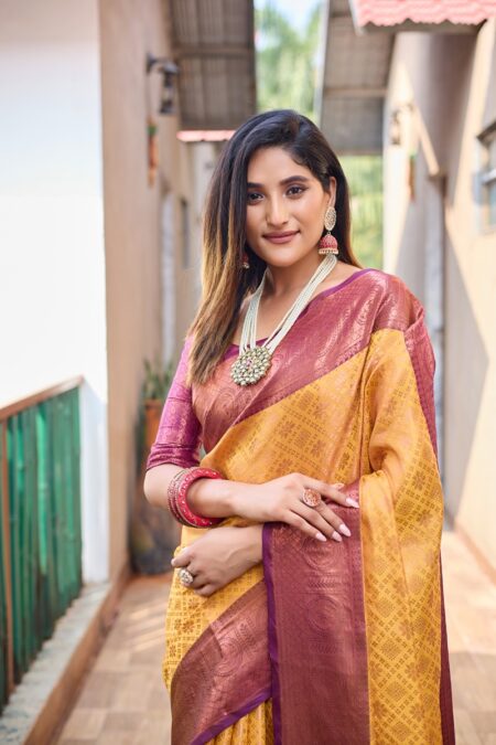 Banarasi saree